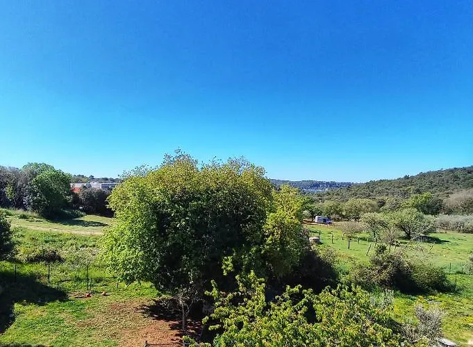 Sa Pogledom Na * Pula